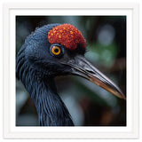 Black Crane Bird Head With Red Crown And Raindrops thumbnail