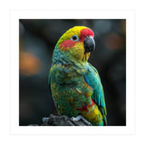 Vibrant Amazon Parrot Perched On A Branch (Print Only) thumbnail