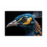 Close Up Of A Peacock Bird Head Eye (Print Only) thumbnail