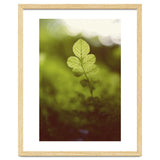 Out of the green thumbnail