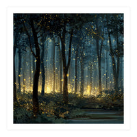 Enchanted Midnight Forest with Glowing Fireflies (Print Only)