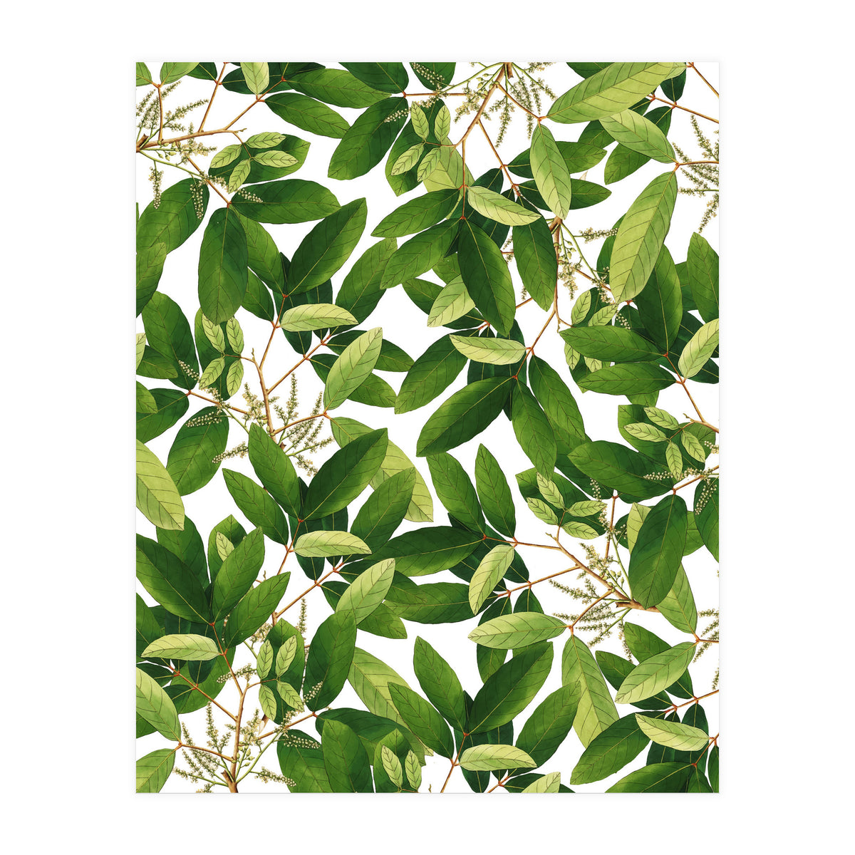 Greenery #society6 #decor #buyart (Print Only)