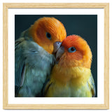 Lovebirds Couple Nuzzling With Orange And Yellow Feathers thumbnail