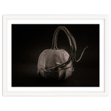 Gourds No 14 thumbnail