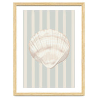Sea shell