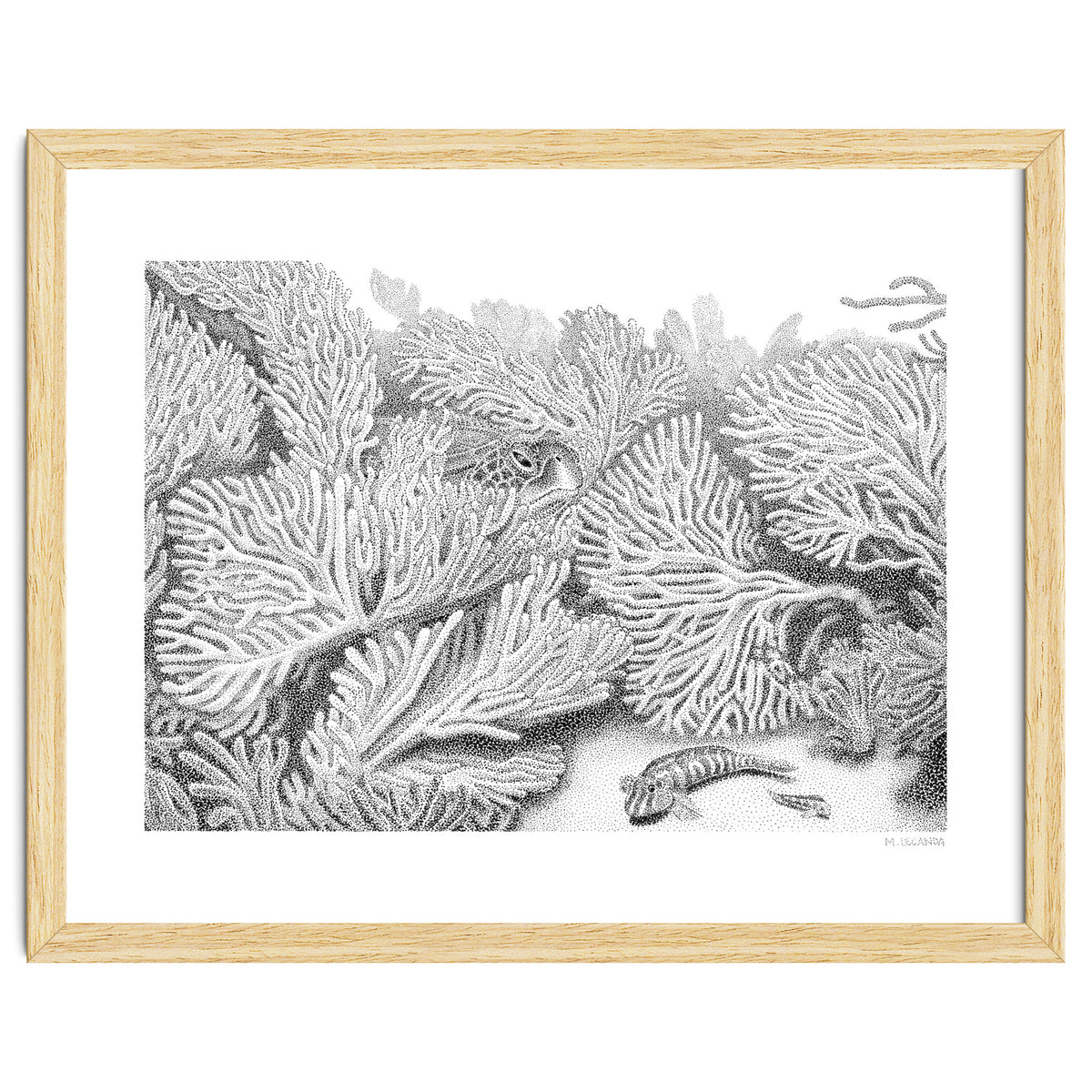 Hidden in plain sight