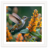 Hummingbird Feeding On Yellow Flowers Nectar thumbnail