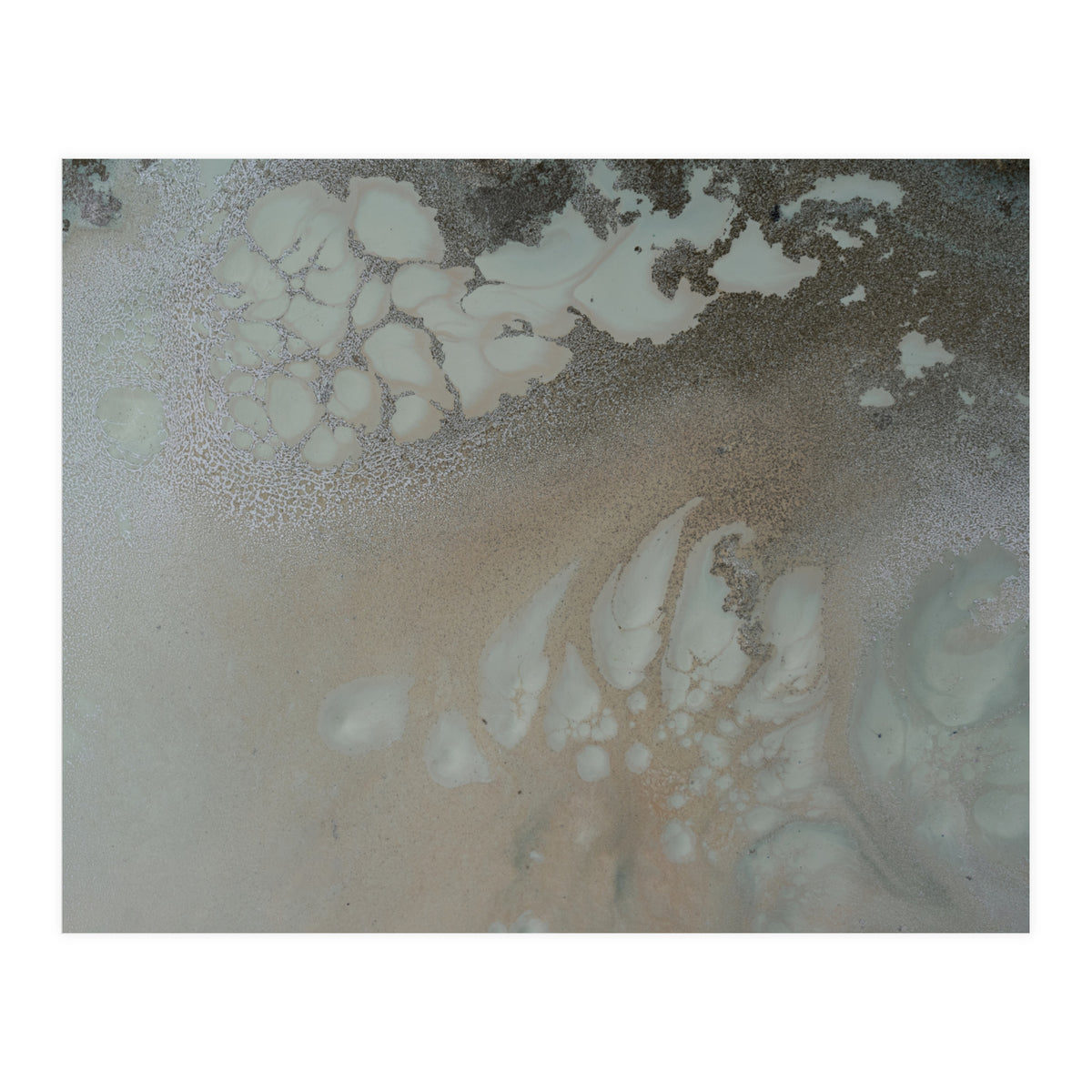 Nature Place (Print Only)