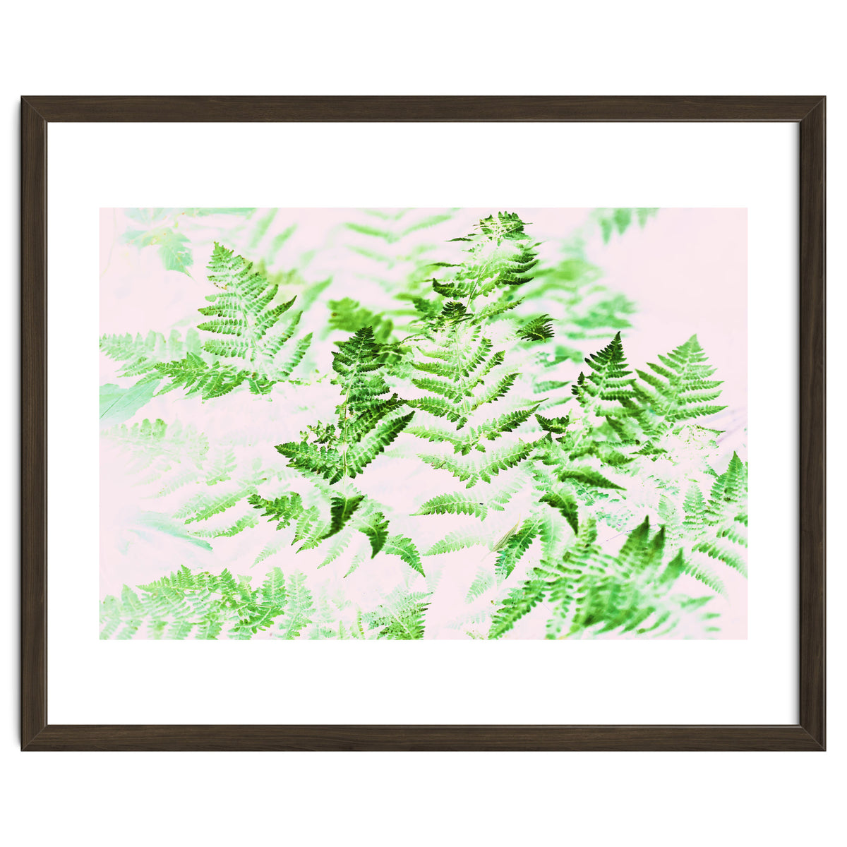 Fern Forest #society6 #decor #buyart