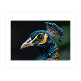 Close-up of a Peacock’s Head (Print Only) thumbnail