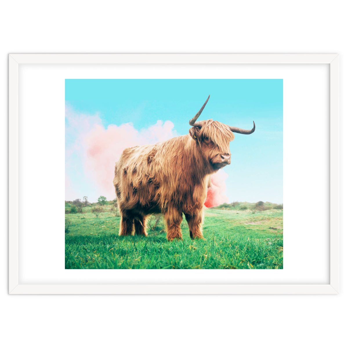 Highland Cow #society6 #decor #buyart