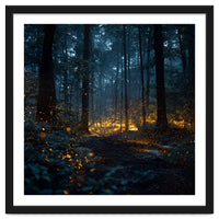 Enchanted Midnight Forest with Glowing Fireflies