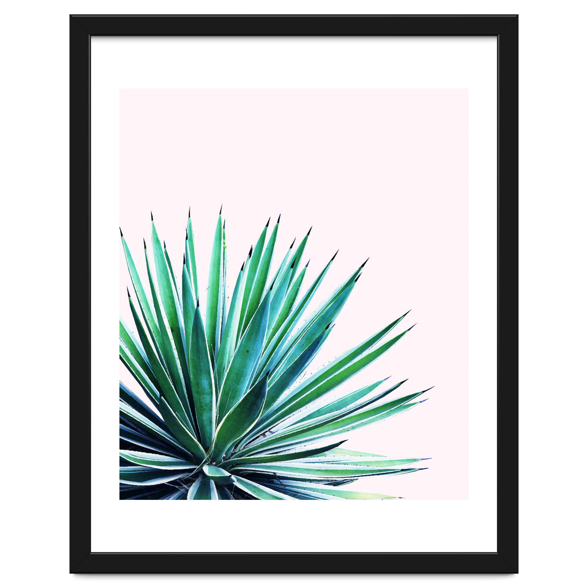 Agave Love #society6 #decor #buyart