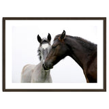 Two Horses thumbnail