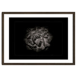 Backyard Flowers In Black And White No 81 with Border thumbnail