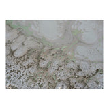 Life And Souls (Print Only) thumbnail