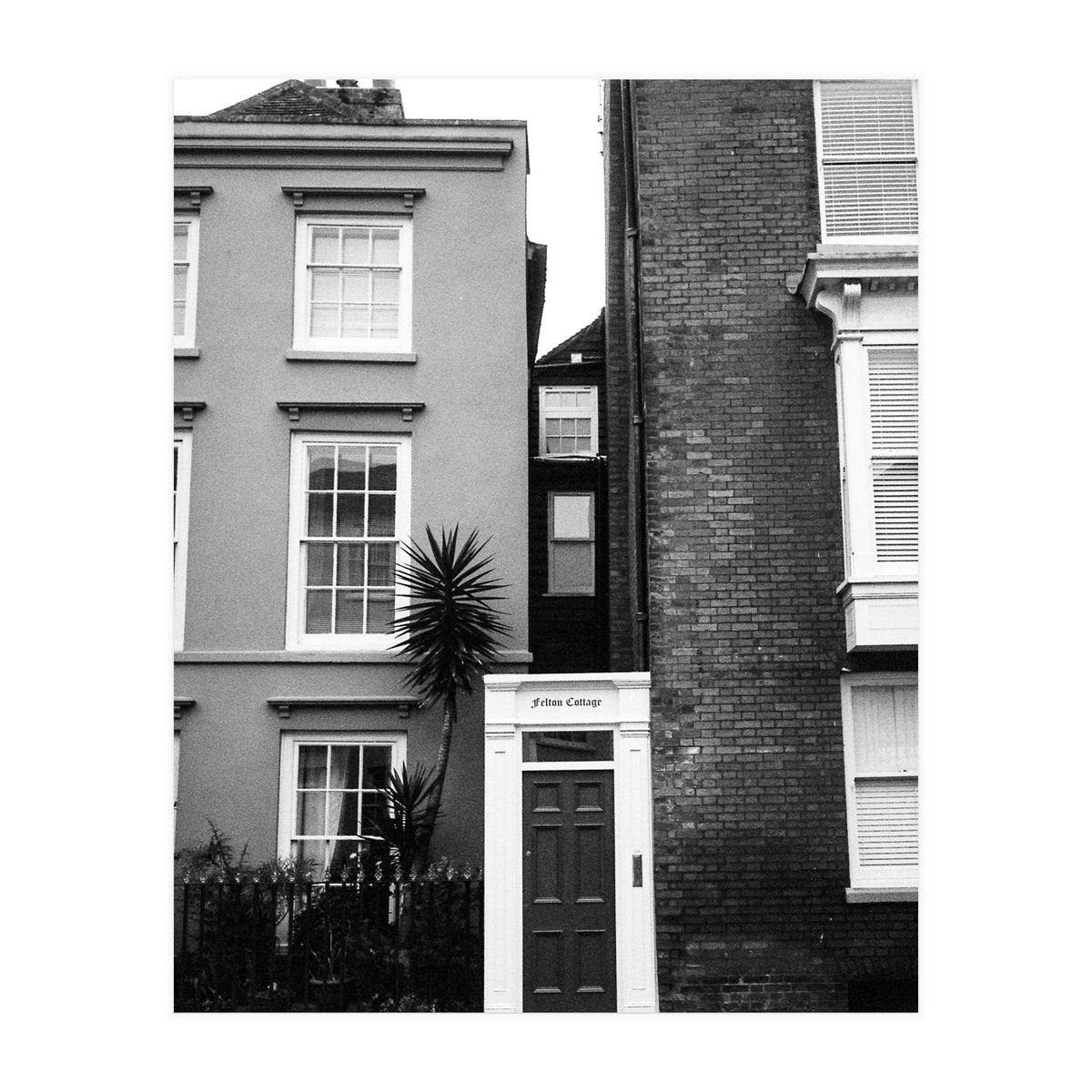 Narrow Living (Print Only)