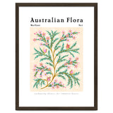 Australian Flora: Wax Flower thumbnail