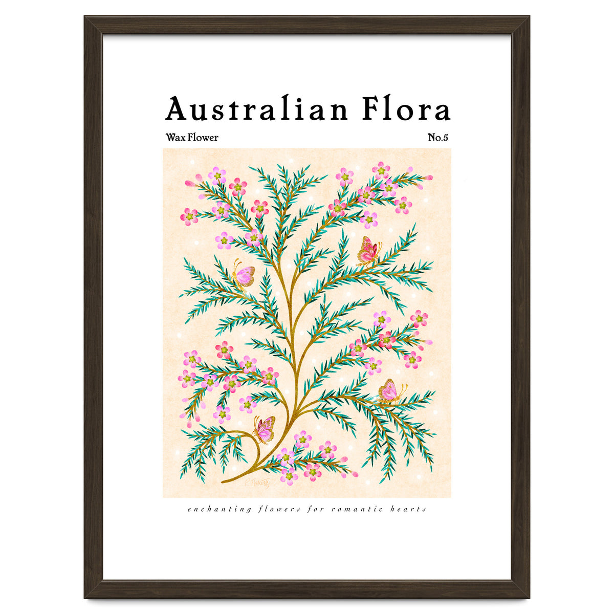 Australian Flora: Wax Flower