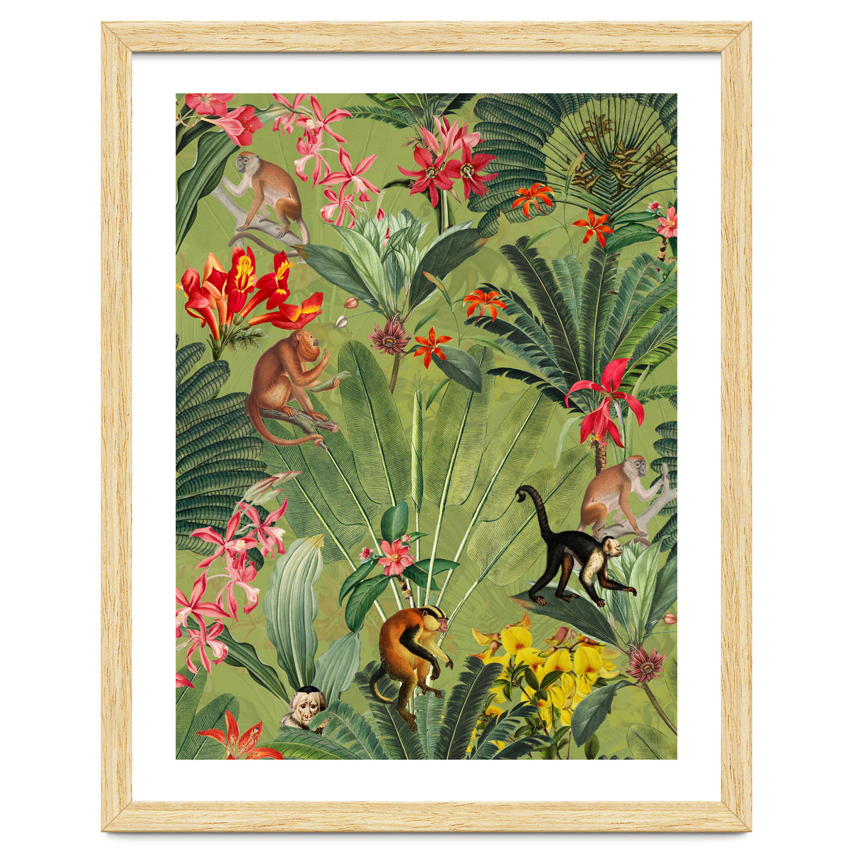 Monkeys In Tropical Jungle Paradise