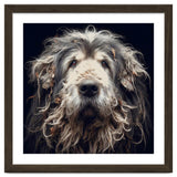 Old Dog 010 thumbnail