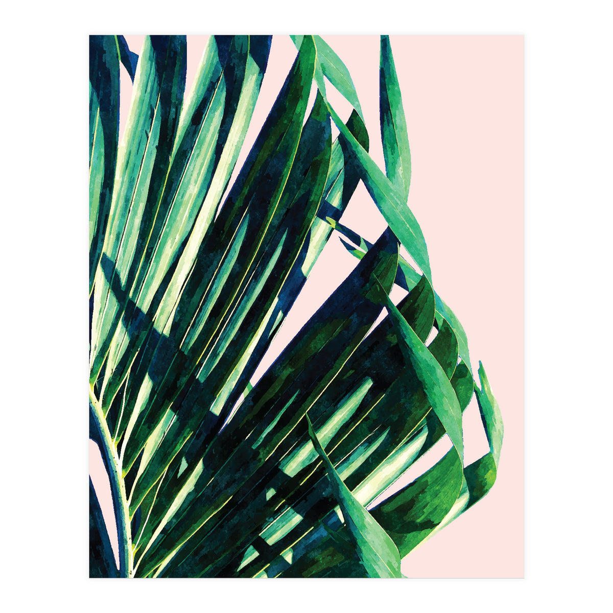 Palm V2 (Print Only)