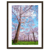 Spring in optima forma thumbnail