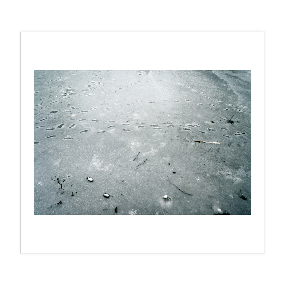Frozen ice pond (Print Only)