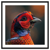 Close Up Pheasant Bird thumbnail