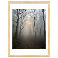 Ethereal Morning Light Breaking Through Dense Forest Fog