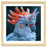 Cockatoo Bird With Orange Crest Portrait thumbnail