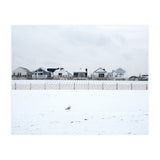 A seagull and snow covered houses (Print Only) thumbnail