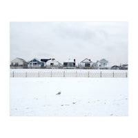 A seagull and snow covered houses (Print Only)