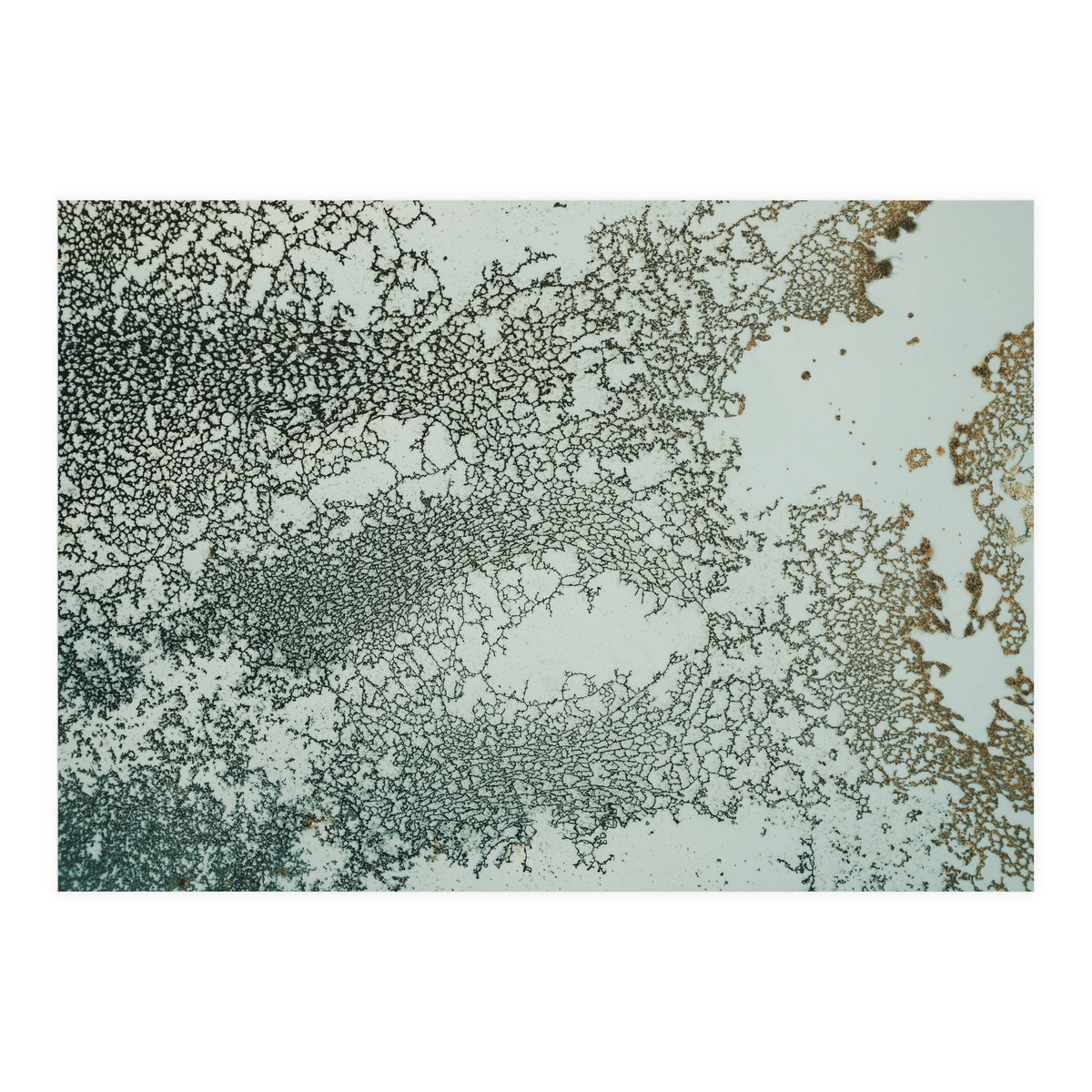 Synchronize (Print Only)