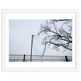 Net caught in a tree thumbnail