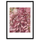 Pink Blossom thumbnail