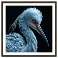 Striking Portrait Of A Blue Heron Bird