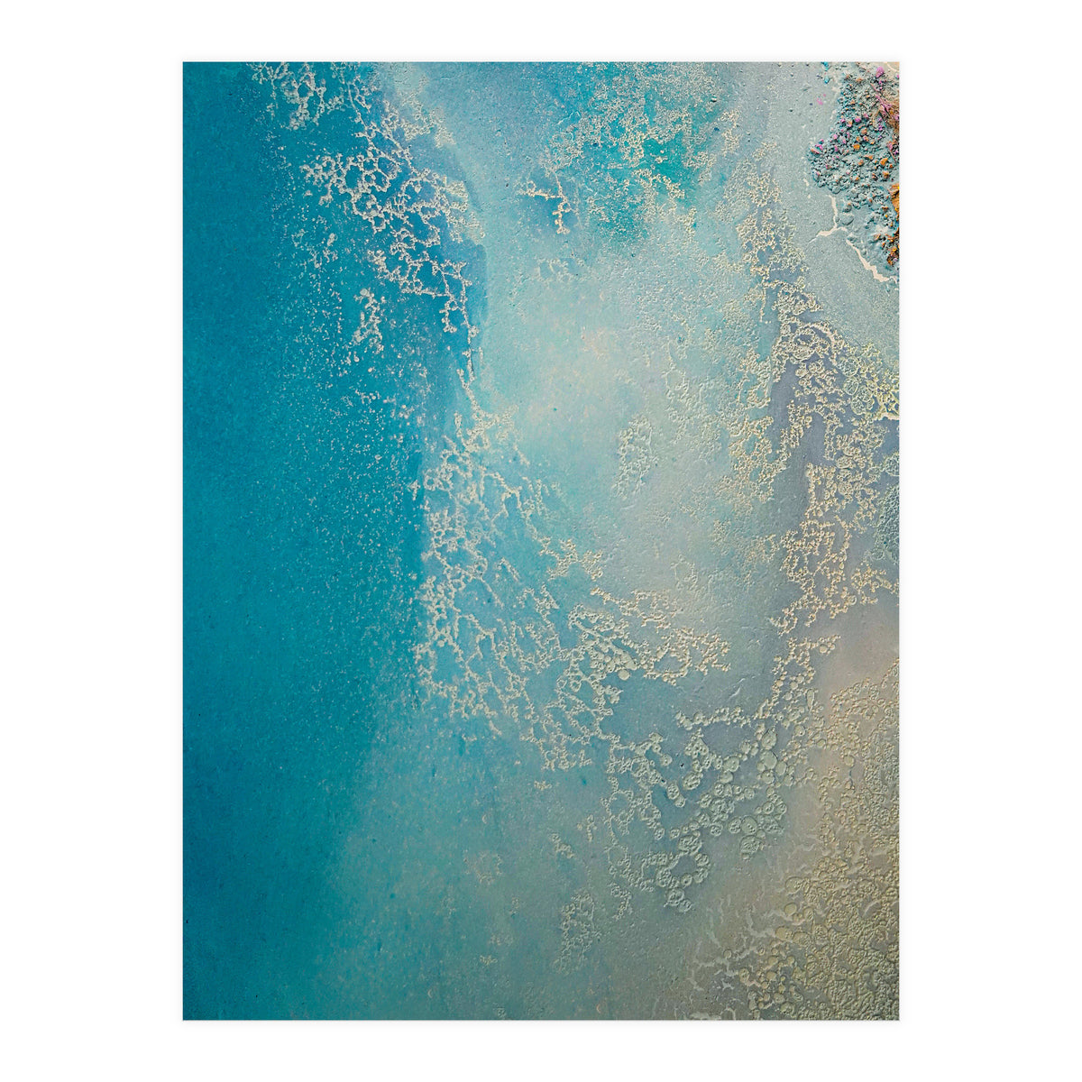 Shallow Waters (Print Only)