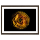Backyard Flowers No 72 Color Version thumbnail