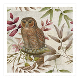 Autumn Owl (Print Only) thumbnail