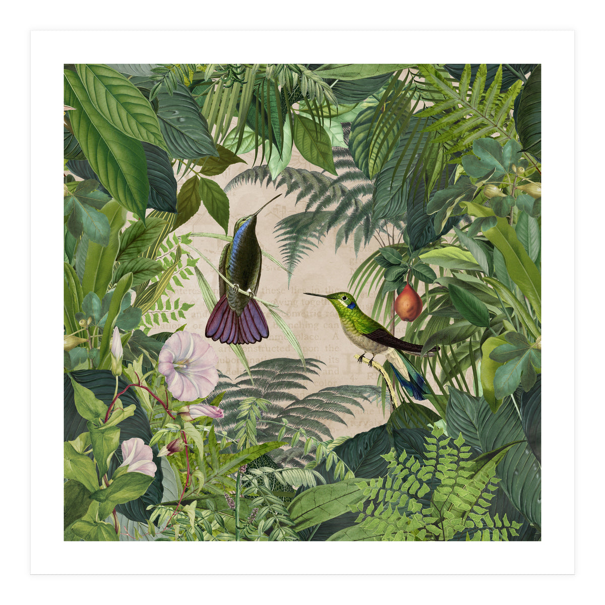 Tropical Hummingbird Jungle (Print Only)