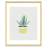 Succulent V1 thumbnail