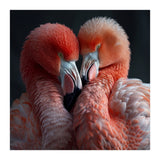 Two Flamingos Together Showing Affection (Print Only) thumbnail