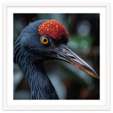 Black Crane Bird Head With Red Crown And Raindrops thumbnail