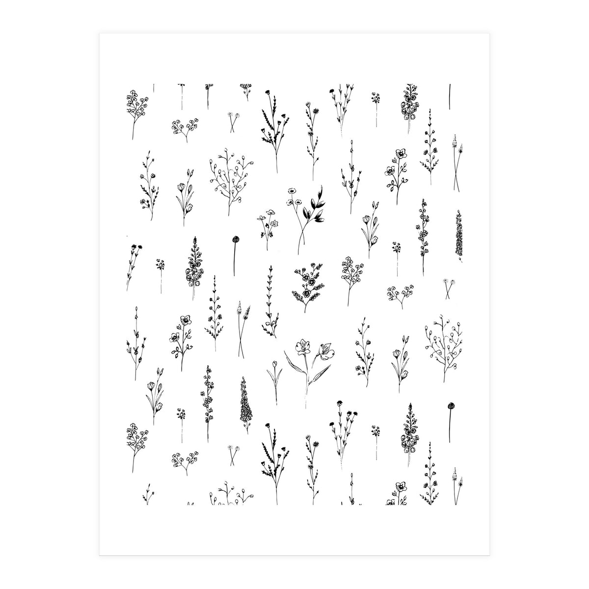 Wildflowers Minimalist Pattern (Print Only)