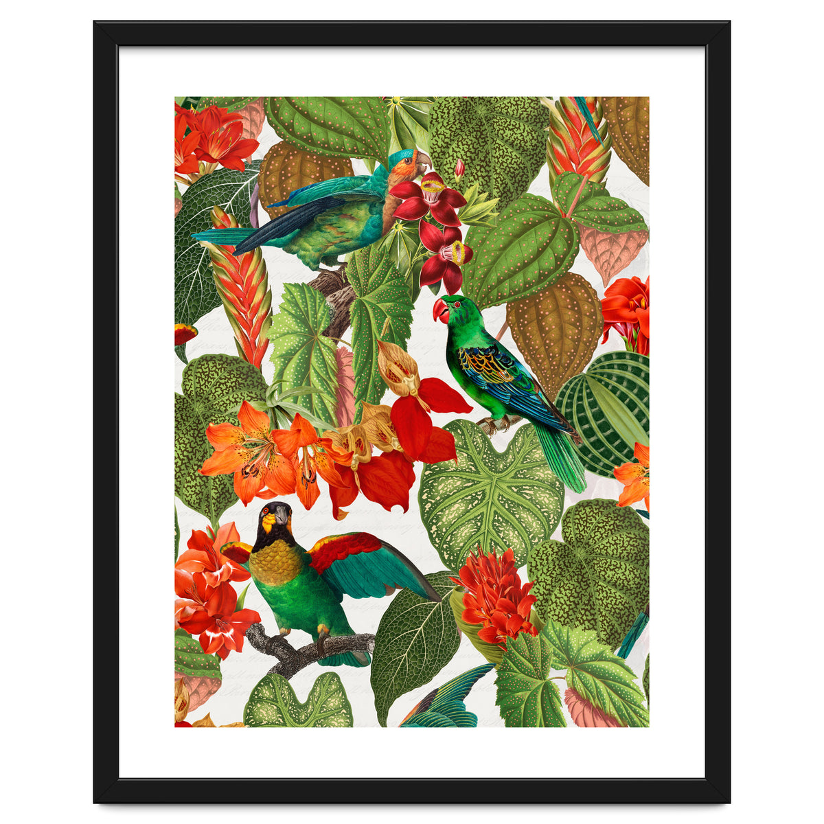 Tropical Parrots In Flower Jungle