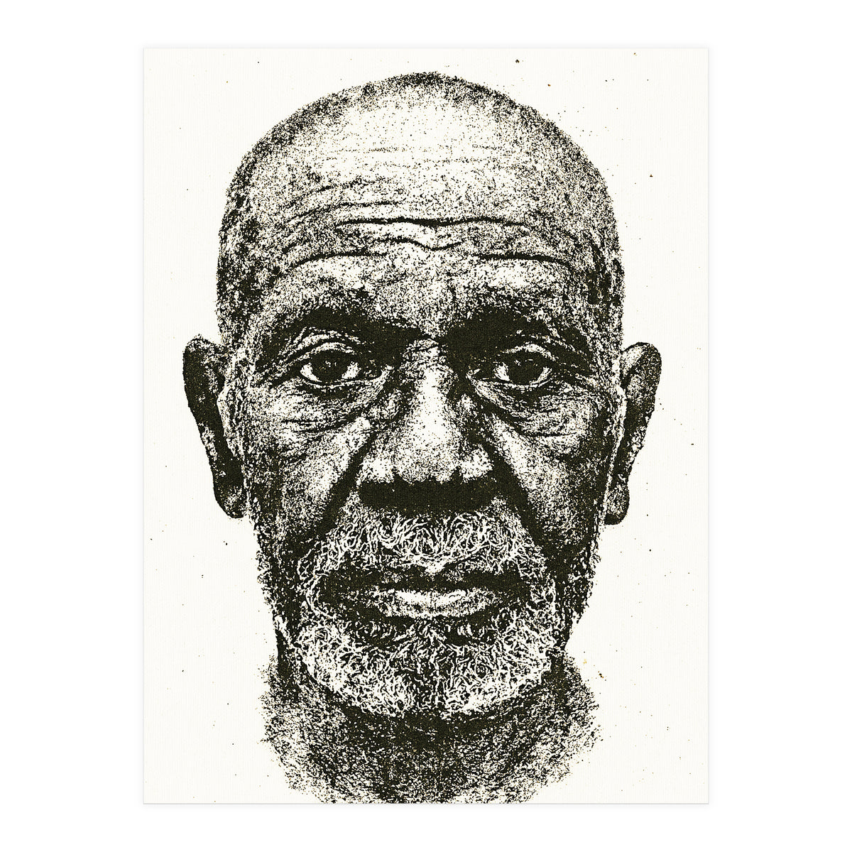 Gyotaku 06.01 (Print Only)