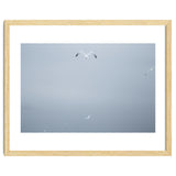 A flying seagull in the winter sky thumbnail