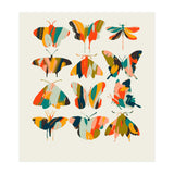 Colorful Butterflies (Print Only) thumbnail