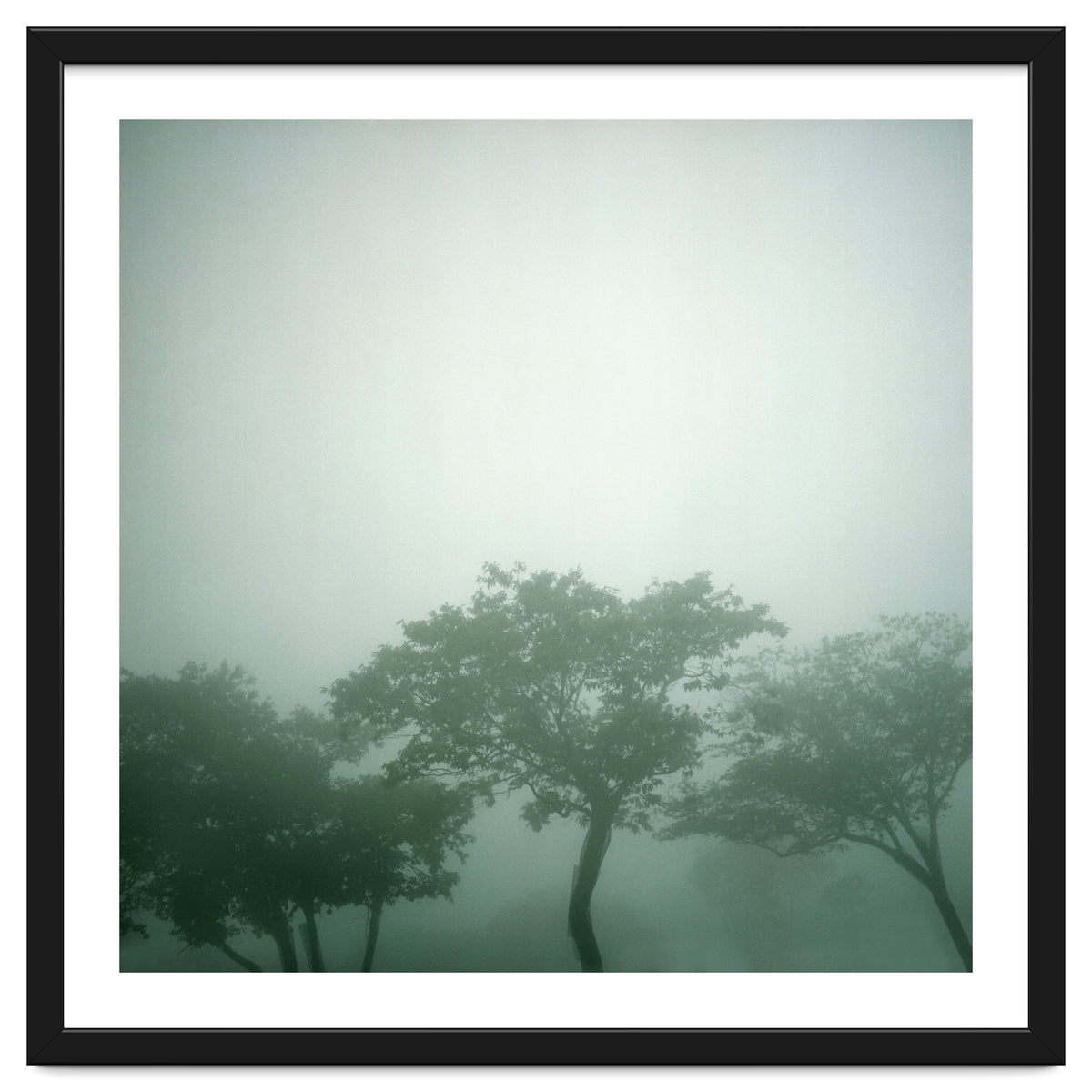 Silence of breath - 17